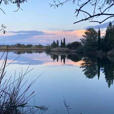 Climatisee Calme Avec Piscine Partagee Saint Aygulf/frejus *