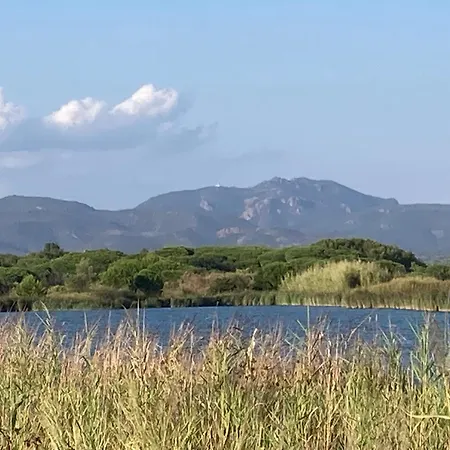 Climatisee Calme Avec Piscine Partagee Saint Aygulf/frejus Villa